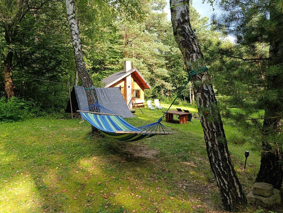 Survivalowa chata w lesie in Karpaty (Polska)