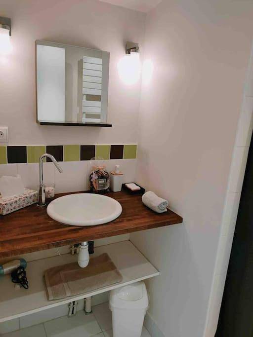 Location de vacances pour 8 personnes, avec piscine ainsi que jardin et terrasse à Melun - 3