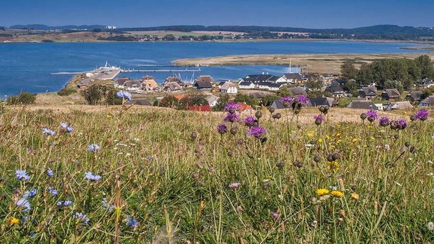 Ferienhaus für 6 Personen, mit Garten, mit Haustier in Gager - 2