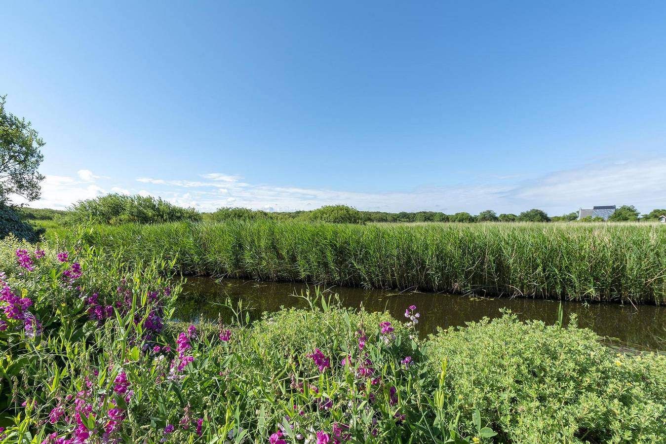 Callinghe Vakanties — De Buitenplaats 16 in Callantsoog, Noord-Holland - Kust van de Noordzee