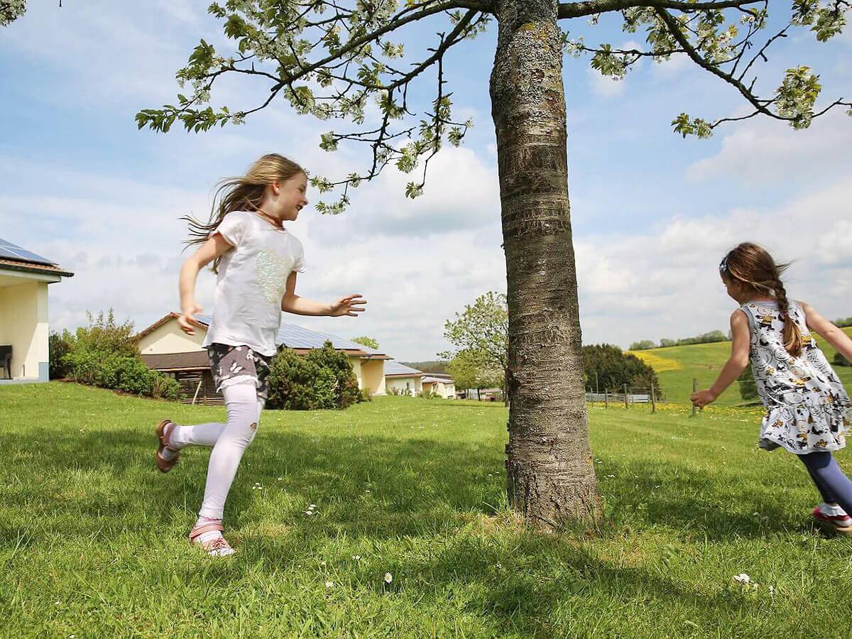 Hubertushof Eifel - Falke in Schönbach, Vulkaneifel