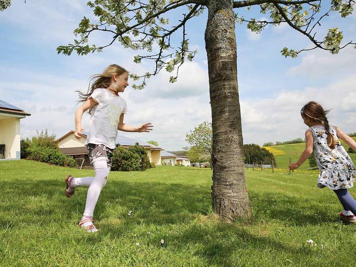 Bauernhof für 4 Personen, mit Pool und Garten, mit Haustier in der Eifel - 2
