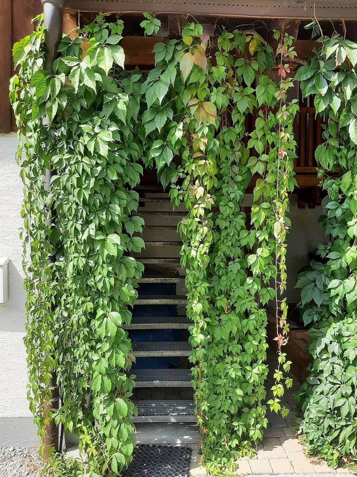 Entire apartment, Apartment 'Mack-Hof' with Balcony in Weil, Romantische Straße