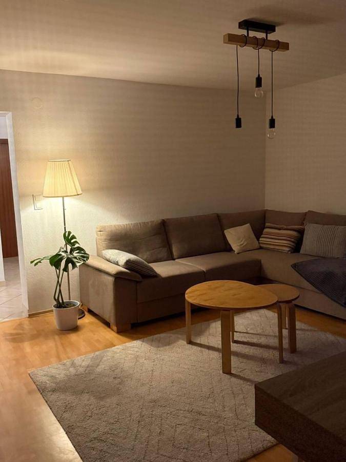 Gîte pour 4 personnes, avec terrasse et sauna, animaux acceptés dans Wutoschingen - 2