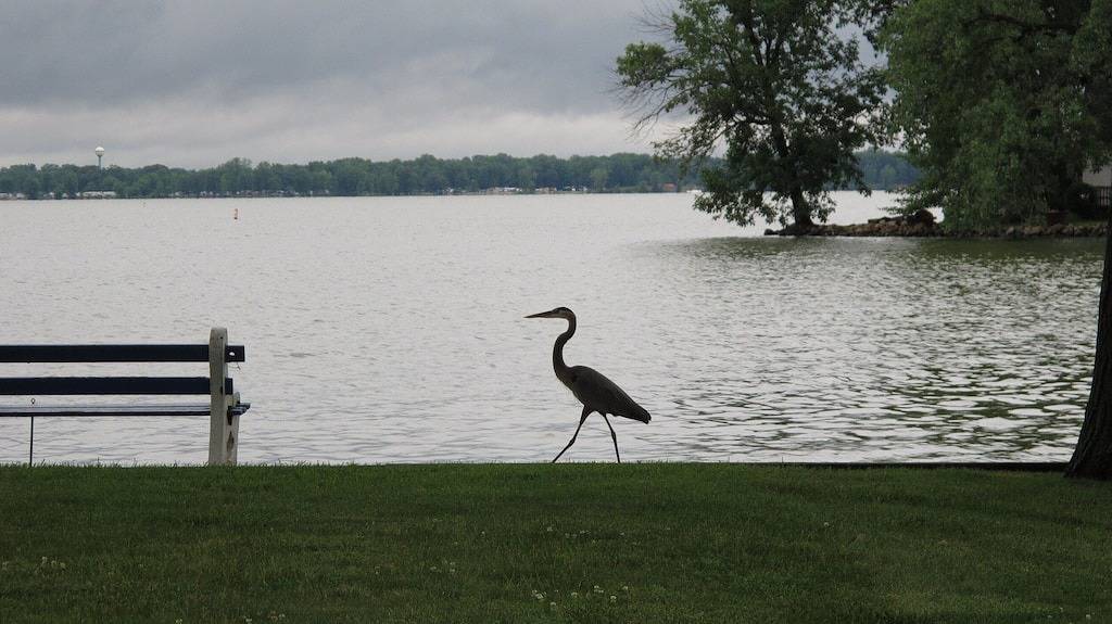 Private Waterfront, privates überdachtes Dock, Feuerstelle! Das ganze Jahr verfügbar! in Indian Lake