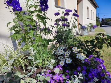 Ferienhaus für 5 Personen in Olbernhau, Chemnitz und Umgebung, Bild 4