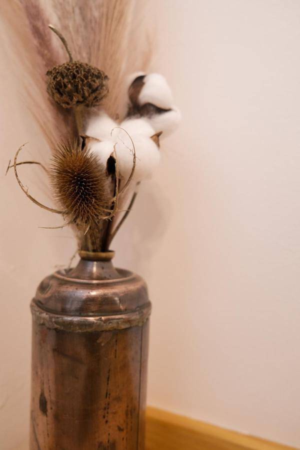 Gîte pour 4 personnes, avec balcon dans Office De Tourisme De Foix - 3