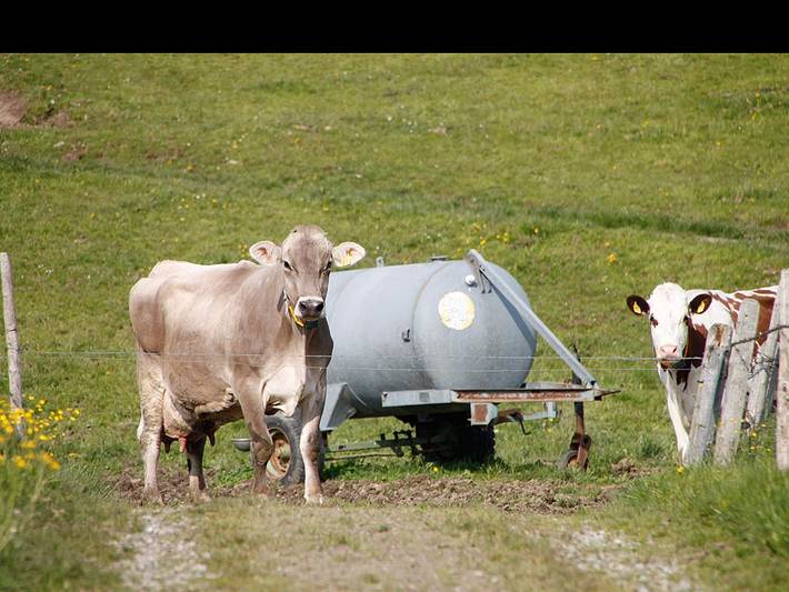 Ferienwohnung für 2 Personen, mit Terrasse und Garten in Scheidegg - 2
