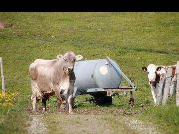 Ferienwohnung für 5 Personen in Scheidegg, Bayerisch Schwaben, Bild 1