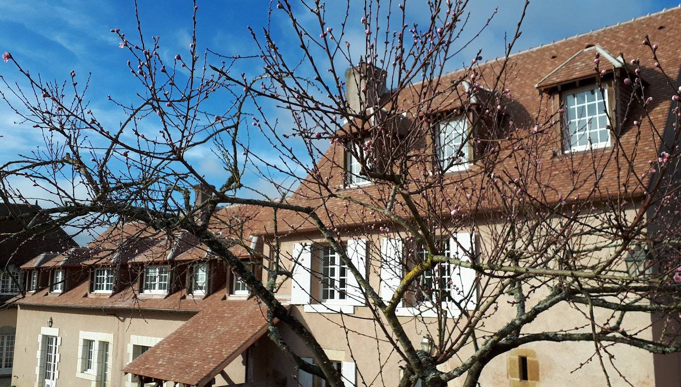 La Villefranche, grand gîte en Berry in Vigoux, Région de Le Blanc