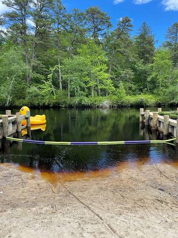 Cottage for 4 Guests in New Jersey, USA, Picture 2