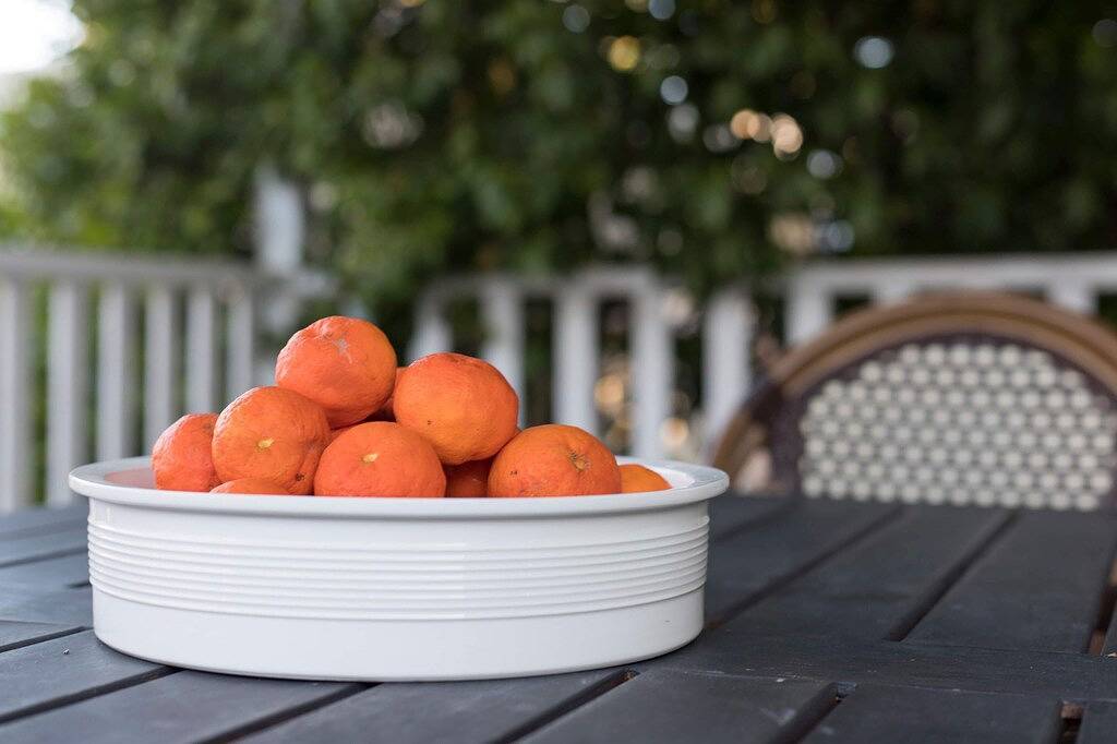 Bantam Cottage - eine haustierfreundliche, zentrale Lage in Berry (NSW), New South Wales