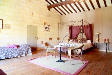 Villa pour 26 Personnes dans Saint-Gilles, Région de Nîmes, Photo 2