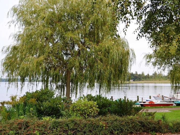 Ferienwohnung für 2 Personen, mit Terrasse in Krakow am See - 4
