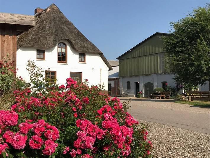 Ferienhaus für 4 Personen, mit Balkon/Terrasse und Terrasse sowie Garten in Sörup - 3