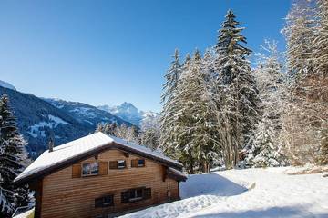 Chalet für 8 Personen in Gryon, Alpes Vaudoises, Bild 2