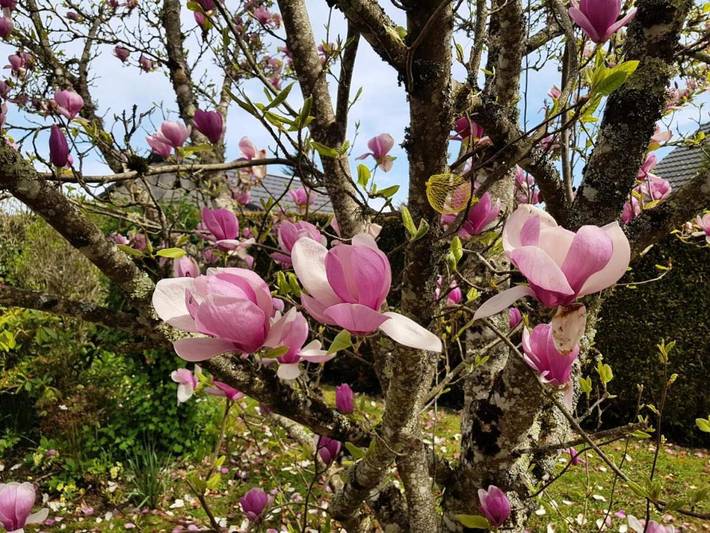 Gîte pour 2 personnes à Albussac - 4