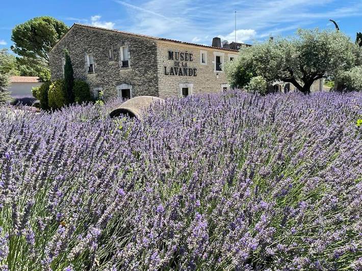 Location de vacances pour 4 personnes, avec piscine ainsi que vue et terrasse à Cabrières-d'Avignon - 3