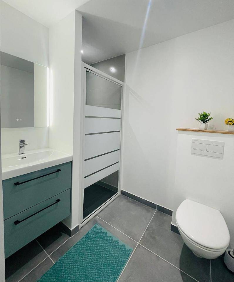 Appartement entier, One-Bedroom Apartment in Saint-Romain-en-Gal, Lyon et ses environs