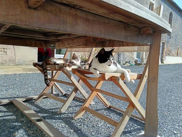 Location de vacances pour 2 personnes, avec jardin et vue à Manvieux - 2