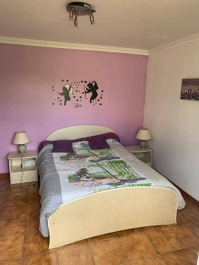Gîte pour 4 personnes, avec jardin et terrasse à Meyzieu - 3