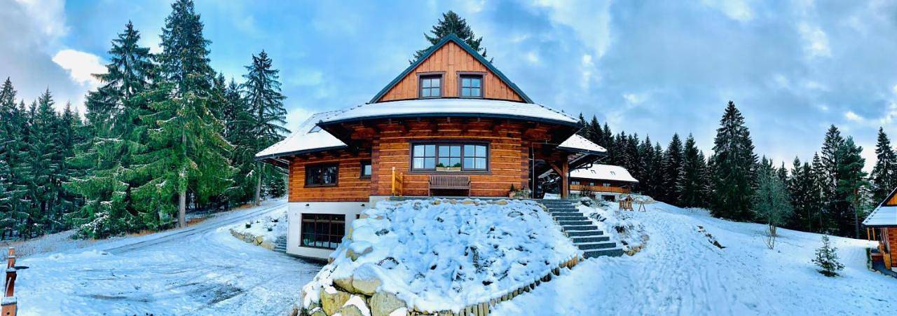 Dom dla 15 osób, z widok i taras w Demianowska Dolina