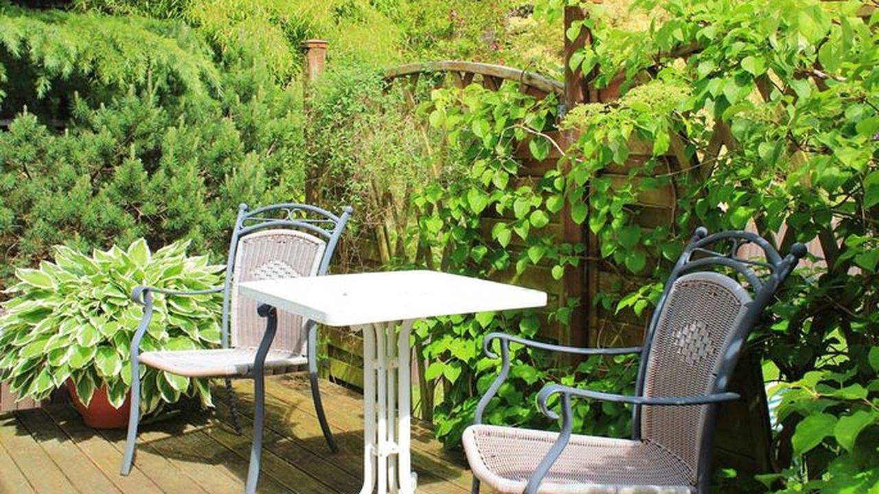 Apartamento vacacional entero, Ferienwohnung für 2 Personen (22 m²) in Bansin (Seebad) in Bansin, Heringsdorf