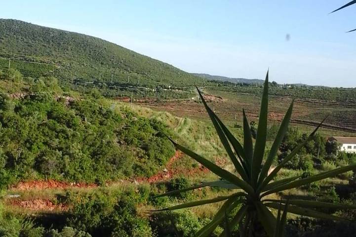 Gîte pour 5 personnes, avec balcon dans São Bartolomeu de Messines - 2