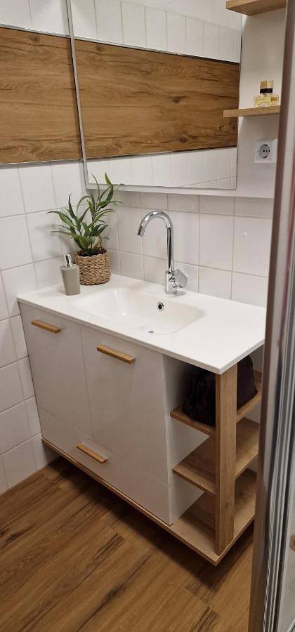 Ferienwohnung für 4 Personen, mit Seeblick und Ausblick sowie Terrasse, mit Haustier in Niedersfeld - 4