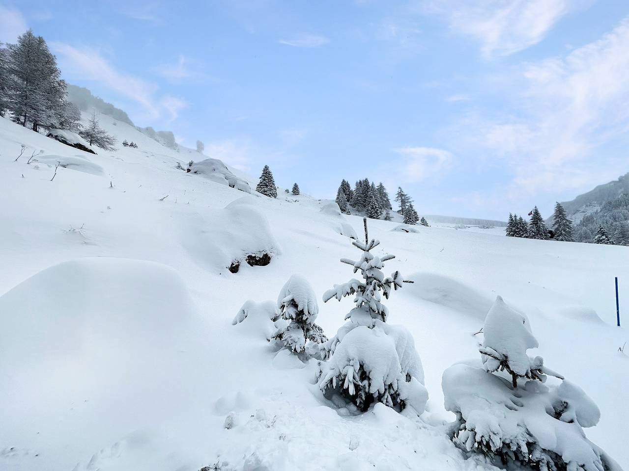 Chalet Le Basset - Family Chalet in the Swiss Alps in Orsières, Walliser Alpen