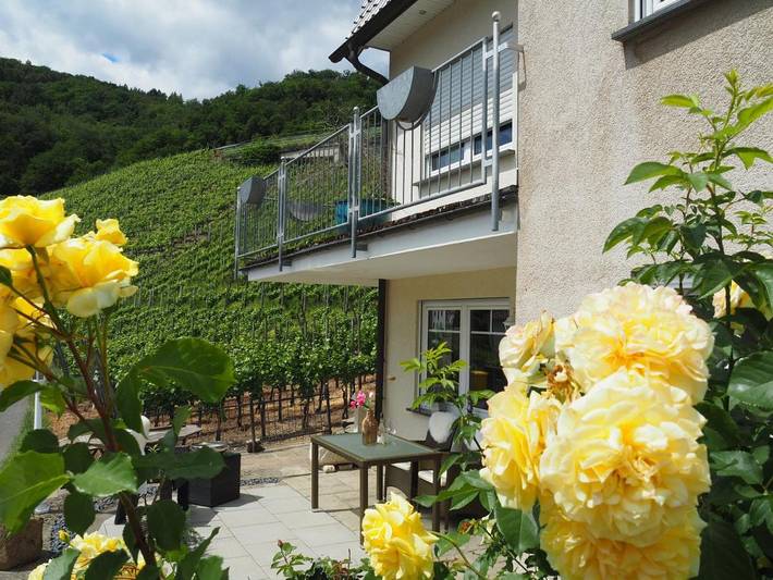 Ferienwohnung für 3 Personen, mit Terrasse und Ausblick in Dernau