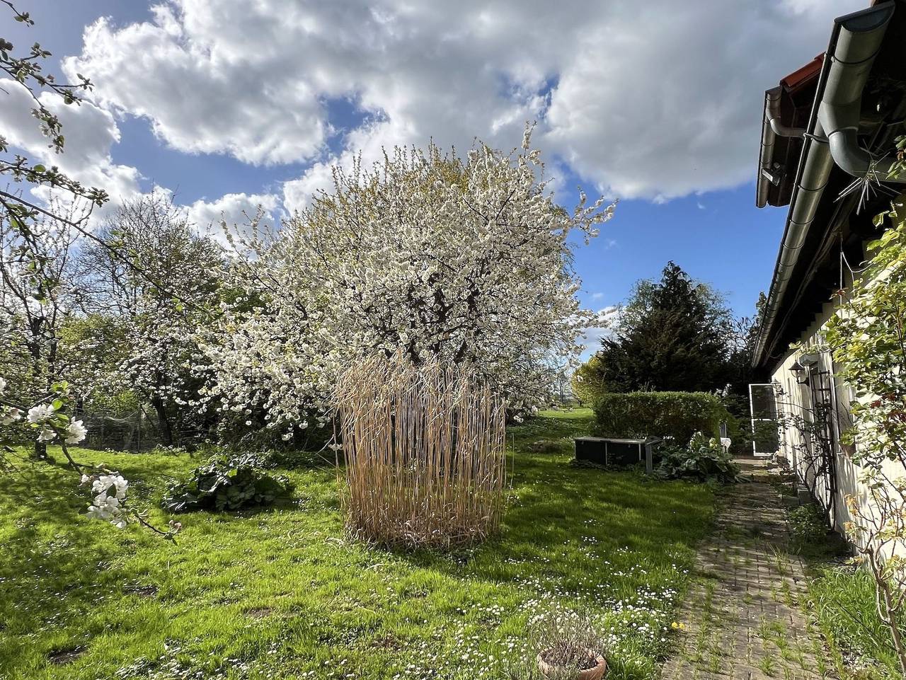 Ganze Ferienwohnung, Ferienwohnung Segeln und Angeln - Ferienwohnung Angeln und Segeln in Grabowhöfe, Mecklenburgische Seenplatte