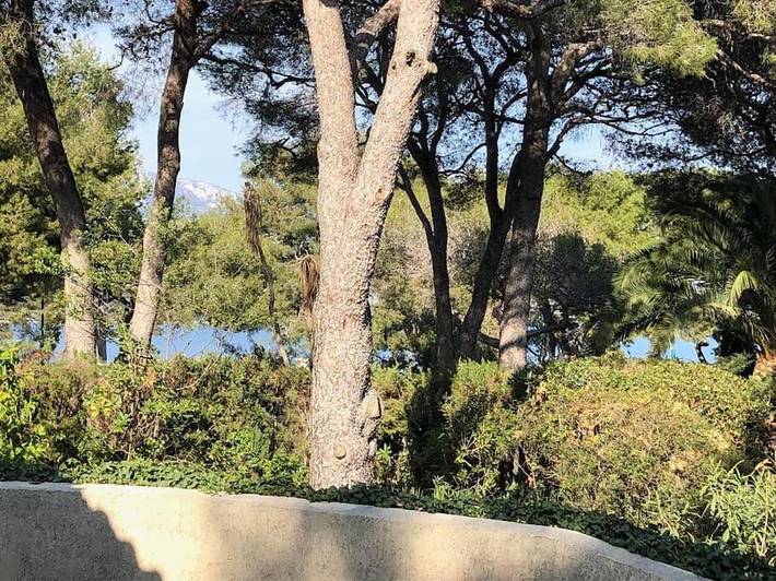 Villa pour 8 personnes, avec vue et jardin dans Cap Ferrat - 4