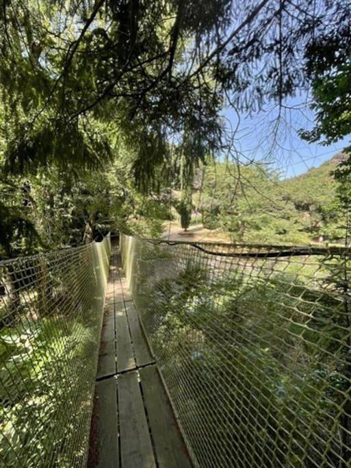 Location de vacances pour 10 personnes, avec jardin ainsi que piscine et vue, animaux acceptés à Cabrespine - 3