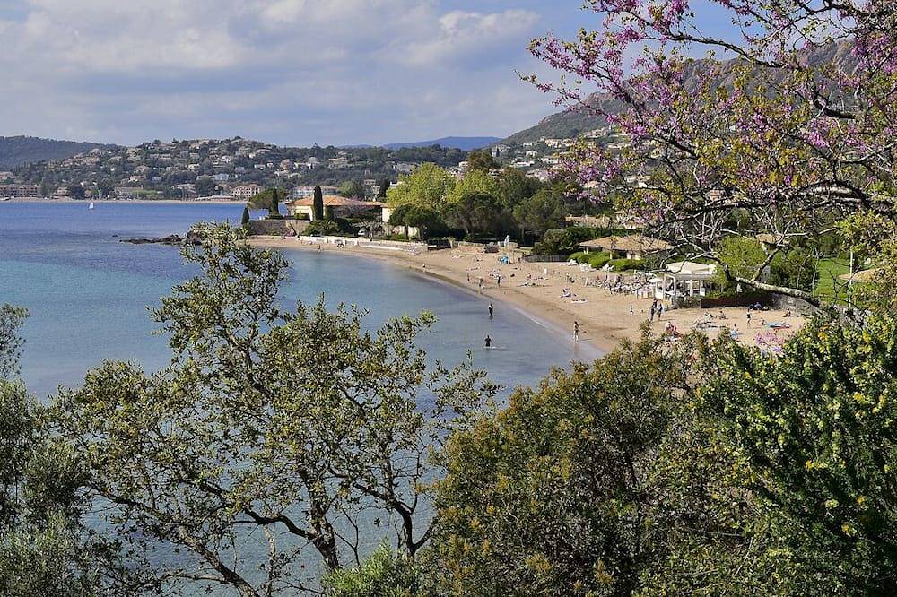 Ganze Wohnung, Cap Esterel, 2 Zimmer Rdj 4/5. Große Terrasse und Garten in Le Dramont, Saint-Raphaël