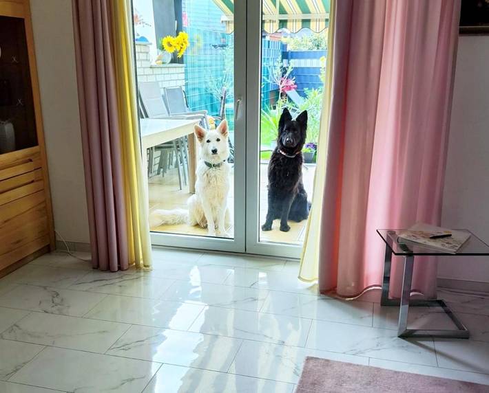 Ferienhaus für 8 Personen, mit Terrasse und Garten in Lotte - 2