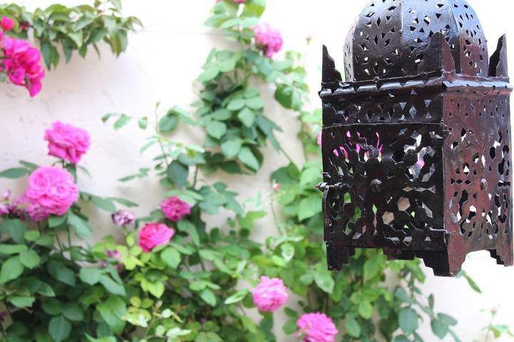 Chalet para 4 personas, con jardín y terraza en Campo de Cartagena - 2