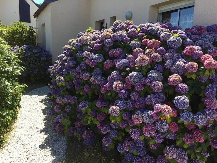 Cottage pour 2 personnes, avec jardin dans Plage de Beg Lann