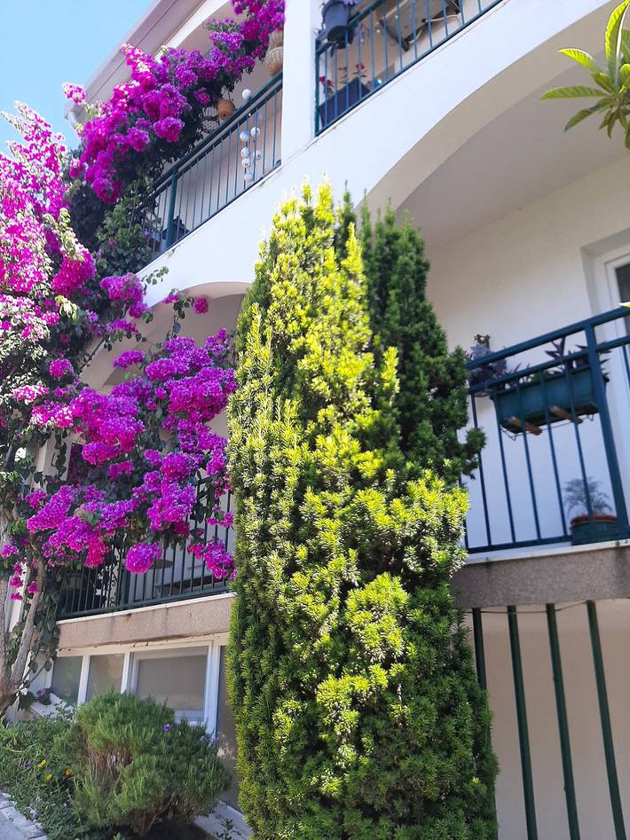 Ganze Wohnung, Apartment Marija in Podstrana, Split-Dalmatien