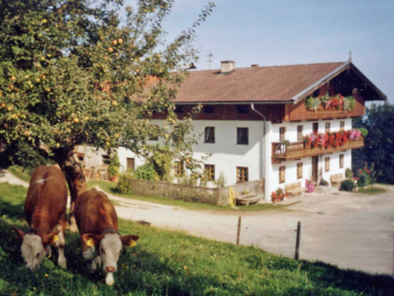 Hof Schnellsried in Fischbachau, Alpenland Tegernsee Schliersee