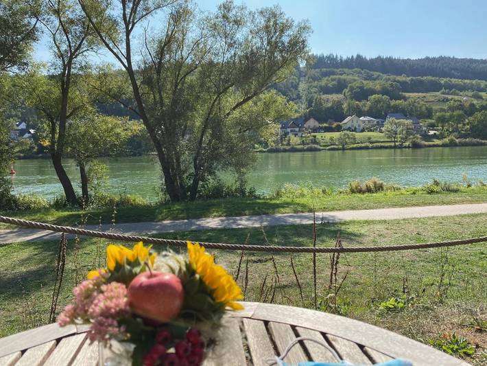 Ferienhaus für 6 Personen, mit Haustier in Zell (Mosel) - 2