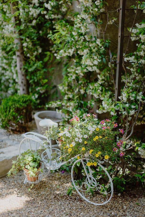 Maison d’hôte pour 2 personnes, avec vue et jardin à Saint-Rémy-de-Provence - 4