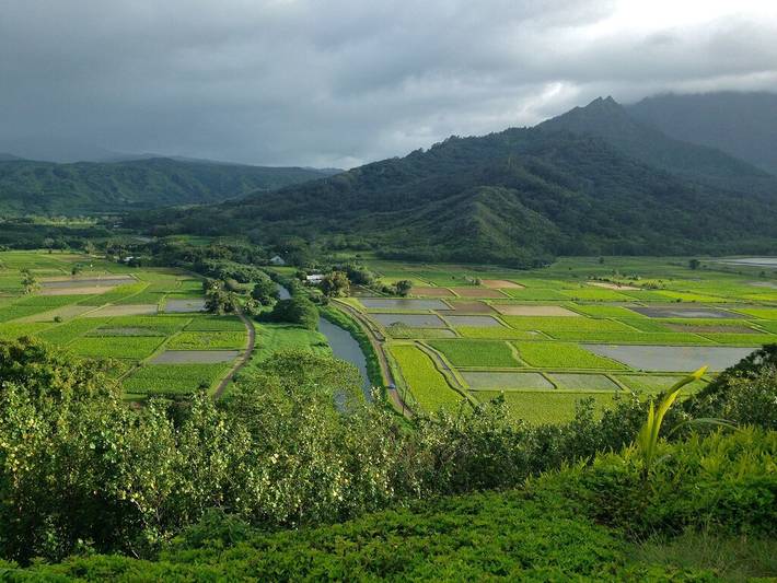 Bungalow für 4 Personen, mit Terrasse und Garten sowie Pool auf Kauai