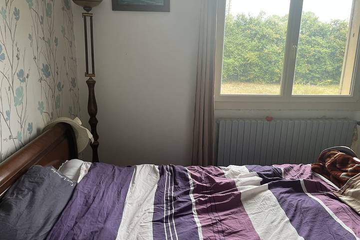 Location de vacances pour 4 personnes, avec balcon ainsi que jardin et jacuzzi à Saint-Satur - 2