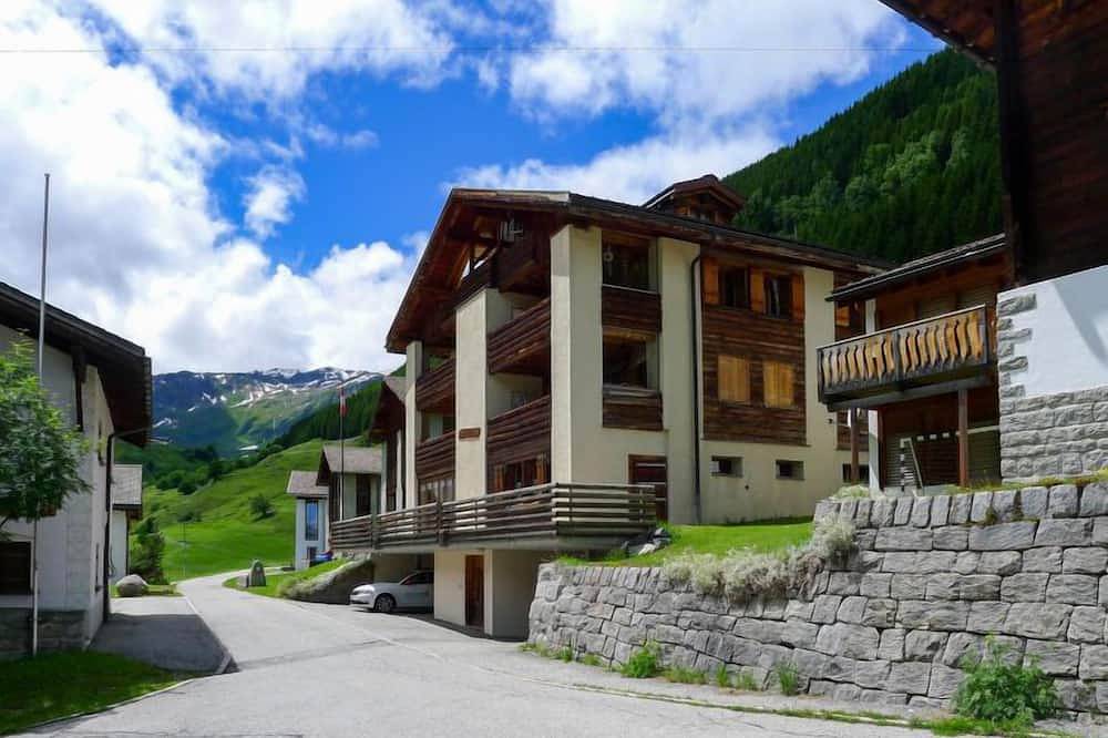 Ganze Wohnung, Alpetta in Sedrun, Tujetsch