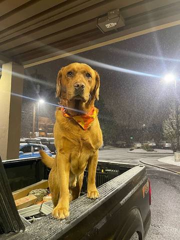 Vacation Home for 6 Guests in Oregon, USA, Picture 2