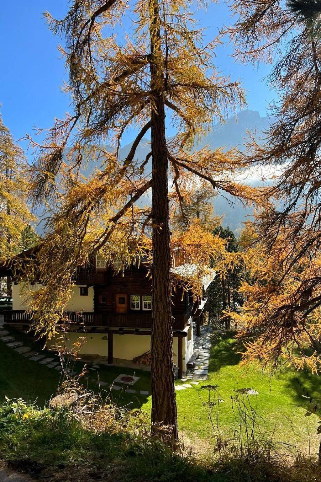 Ganze Wohnung, Bindschedler in Silvaplana, Sankt Moritz