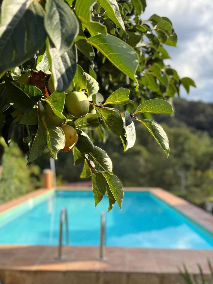 Appartement de vacances pour 10 personnes, avec Balcon ainsi que Jardin et Vue sur le lac à San Nicolás del Puerto