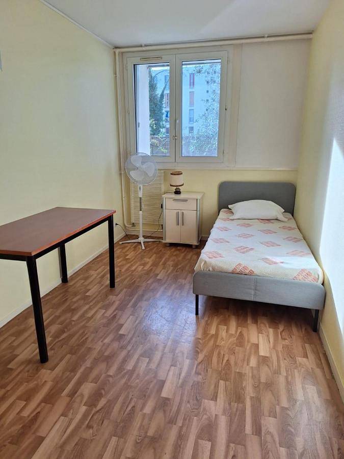 Gîte pour 6 personnes, avec vue et jardin à L'Haÿ-les-Roses - 4