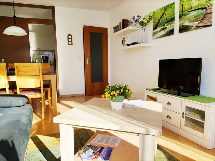 Ferienwohnung für 3 Personen, mit Sauna und Seeblick sowie Balkon, kinderfreundlich in Schluchsee - 4